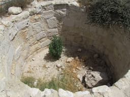 Lahav_forest7.jpg