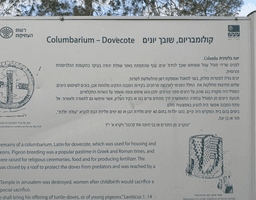 1656427683559_imageFile_