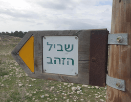 1656428069137_imageFile_