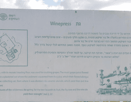 1656428283715_imageFile_