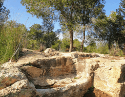 1656489000210_imageFile_