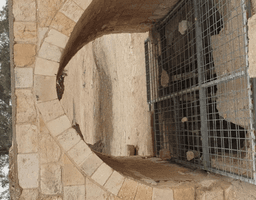 1656498313582_imageFile_