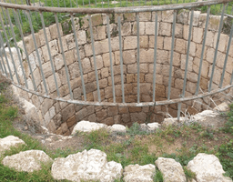 1656591342832_imageFile_